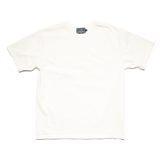 Studio D'Artisan 8173 Suvin Gold T-Shirt